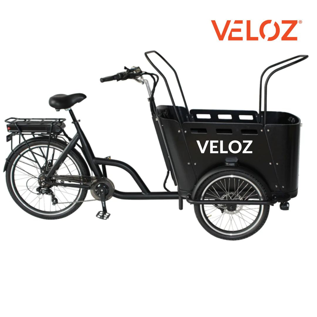 Veloz Electric Cargo Trike - 350W with 200Kg Load Capacity