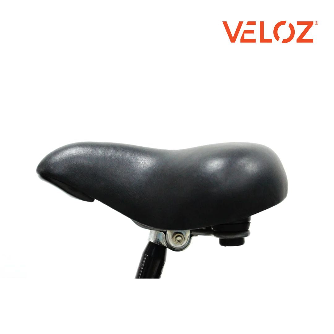 Veloz Electric Cargo Trike - 350W with 200Kg Load Capacity