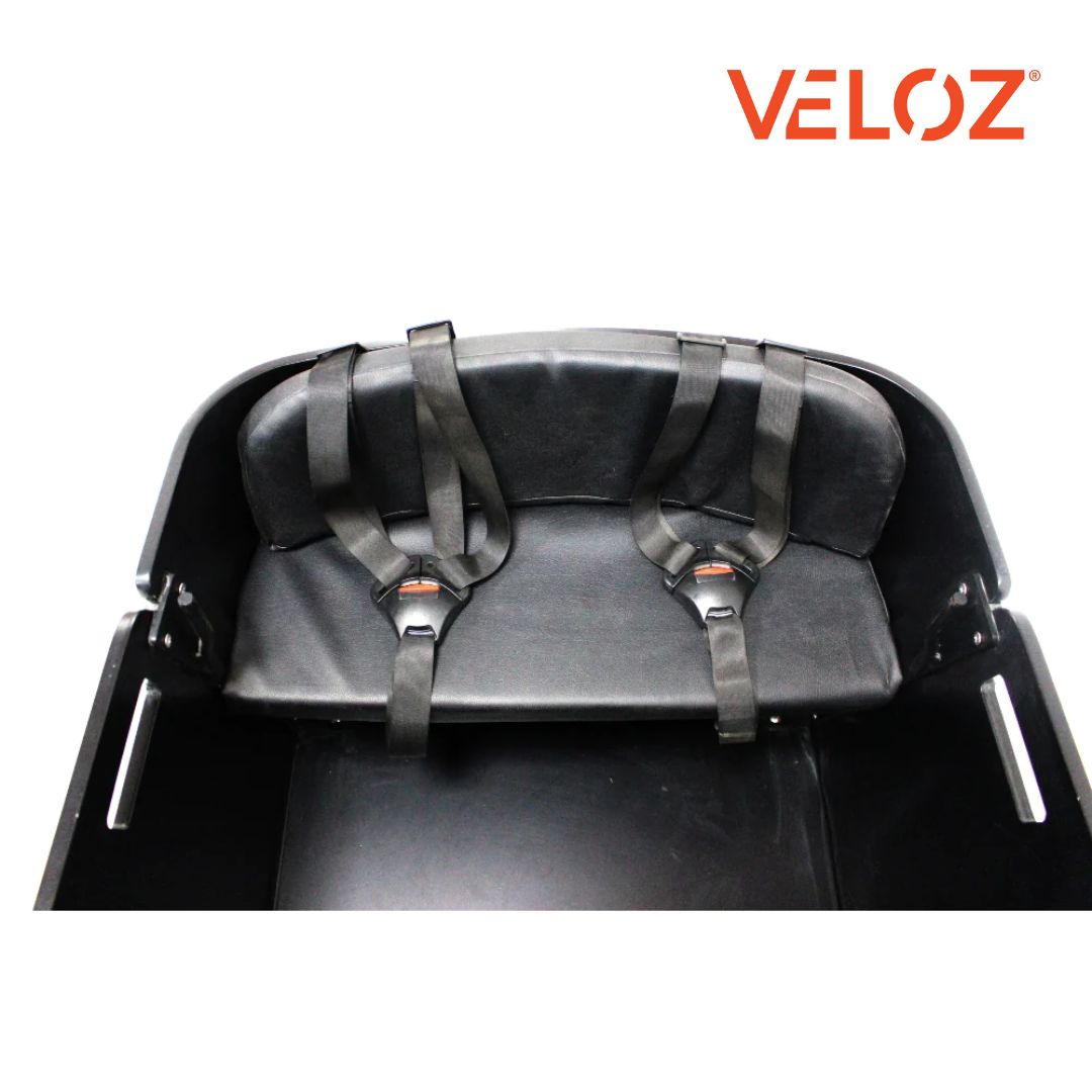 Veloz Electric Cargo Trike - 350W with 200Kg Load Capacity