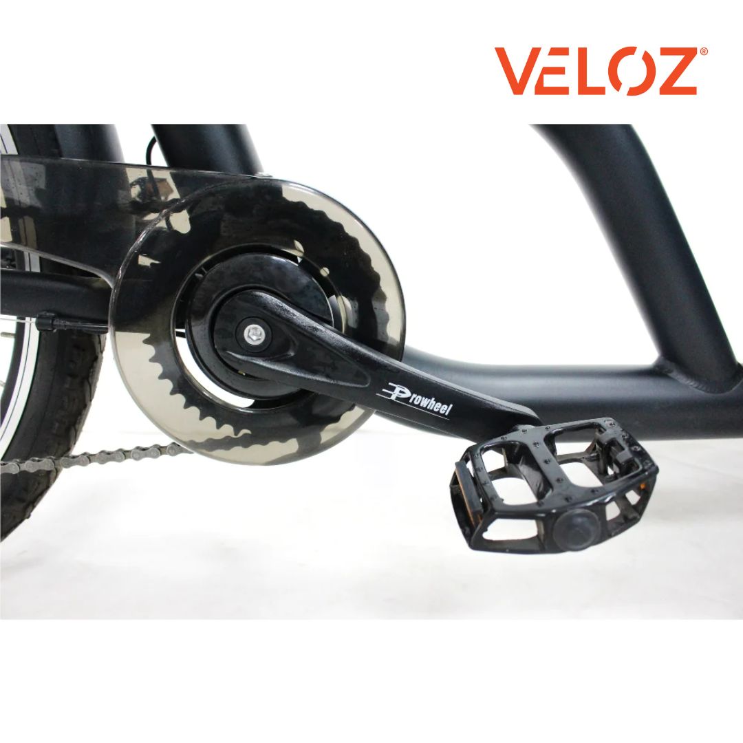 Veloz Electric Cargo Trike - 350W with 200Kg Load Capacity
