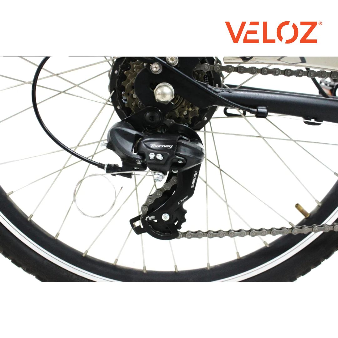 Veloz Electric Cargo Trike - 350W with 200Kg Load Capacity