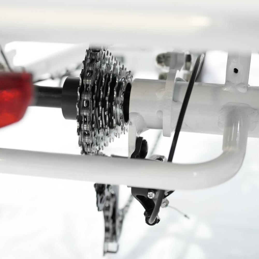 Veloz Grand-Prix Electric Trike Bike 500-750W Motor 120 Km Autonomy 20Ah Samsung Battery 150+ Kilos weight load