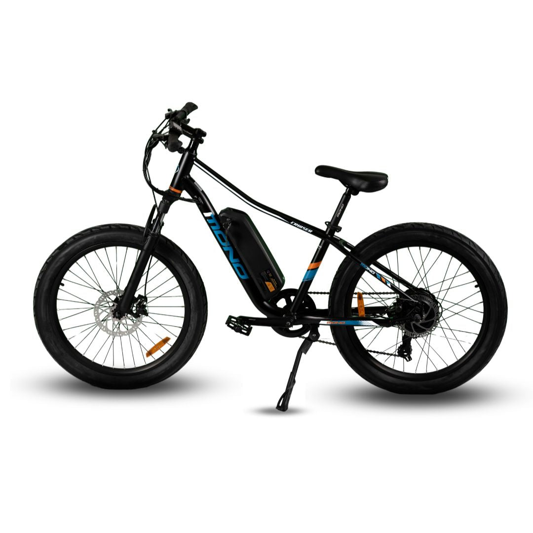 eMono JUNO Compact Fat Cruiser EMTB 6 Months Free Service