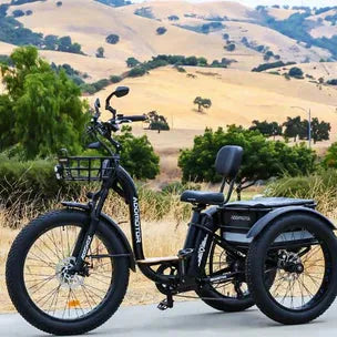 Addmotor Grandtan II Fat Tyre Electric Trike