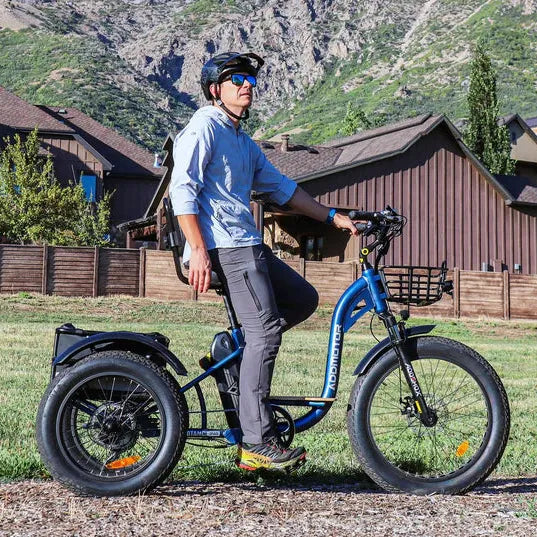 Addmotor Grandtan II Fat Tyre Electric Trike