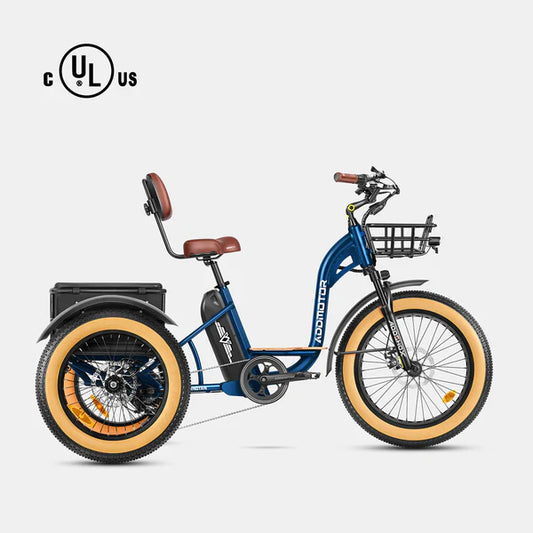 Addmotor Grandtan II Fat Tyre Electric Trike