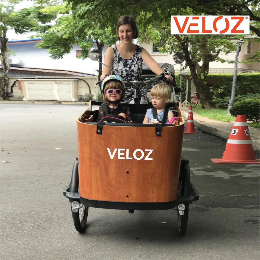 Veloz Electric Cargo Trike - 350W with 200Kg Load Capacity