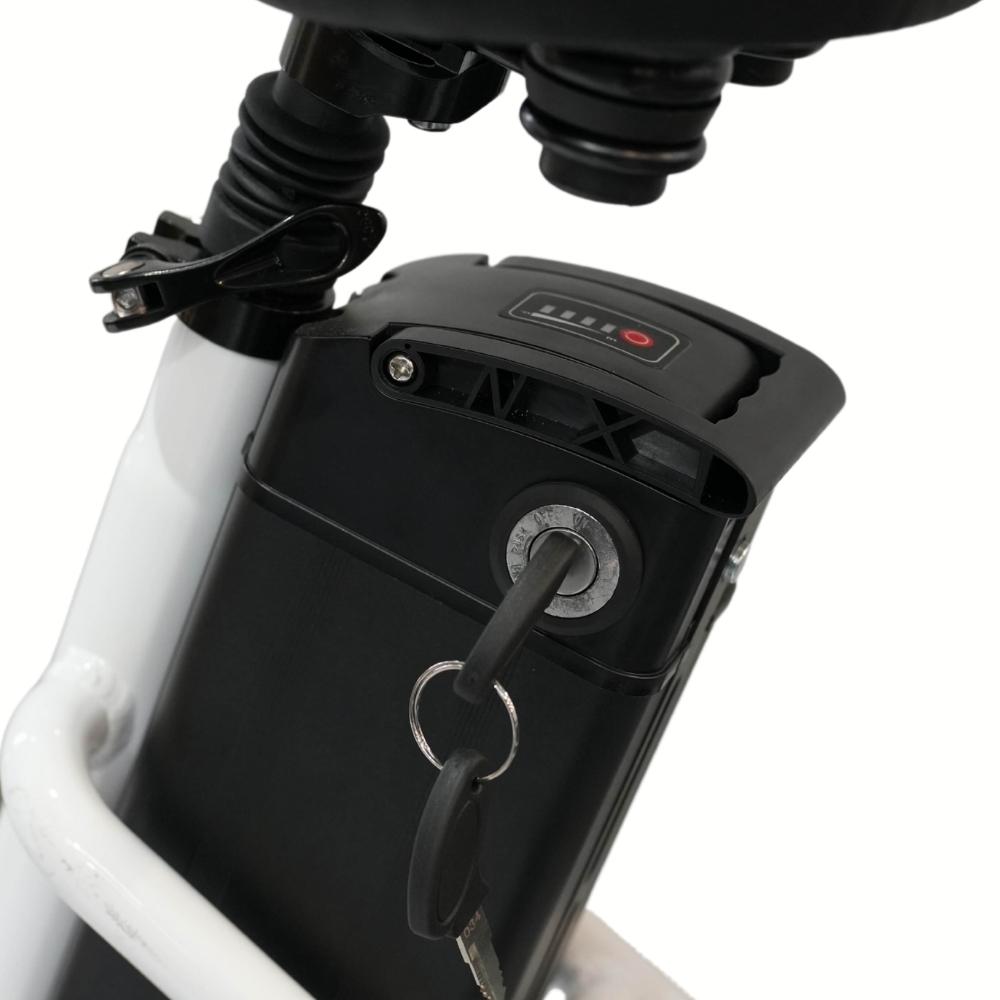 Veloz Grand-Prix Electric Trike Bike 500-750W Motor 120 Km Autonomy 20Ah Samsung Battery 150+ Kilos weight load