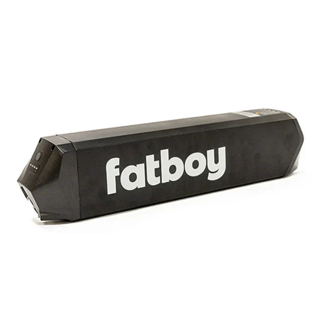 52V 20AH BATTERY FOR FATBOY BAGUS