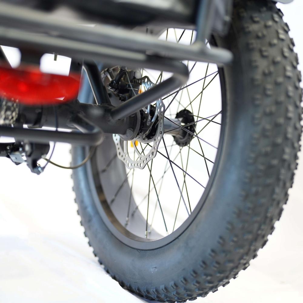 Veloz Grand-Prix Electric Trike Bike 500-750W Motor 120 Km Autonomy 20Ah Samsung Battery 150+ Kilos weight load