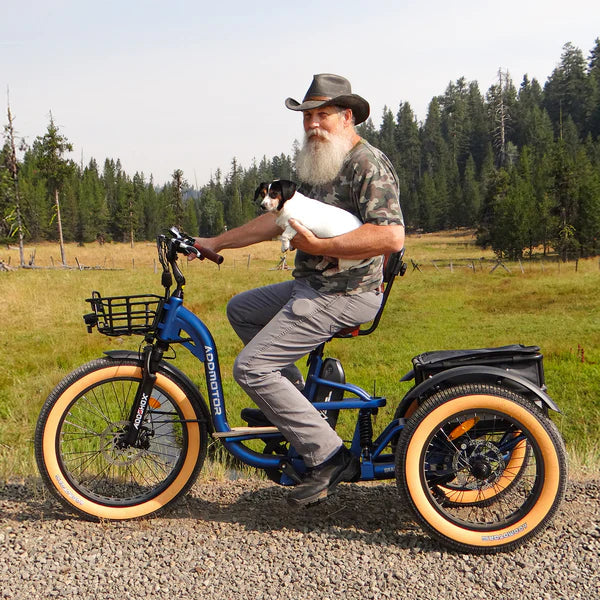 Addmotor Grandtan X Full-Suspension Electric Trike