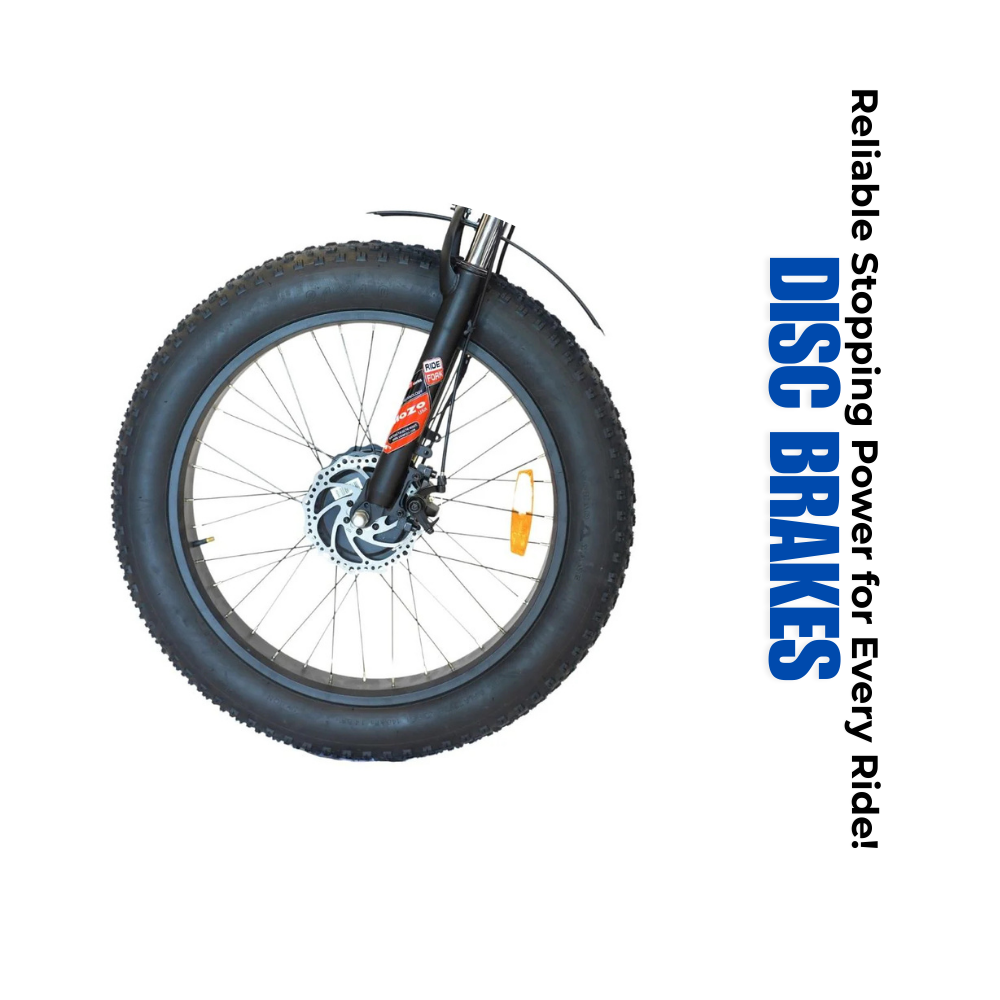Veloz Grand-Prix Electric Trike Bike 500-750W Motor 120 Km Autonomy 20Ah Samsung Battery 150+ Kilos weight load