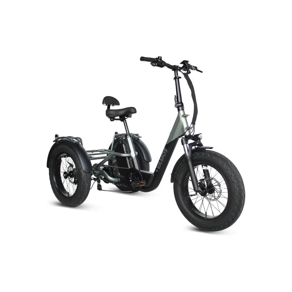 Vamos Papa Grande Pro 2025 Model Electric Trike