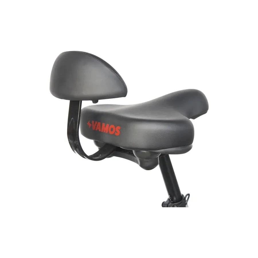 Vamos Papa Grande Pro 2025 Model Electric Trike