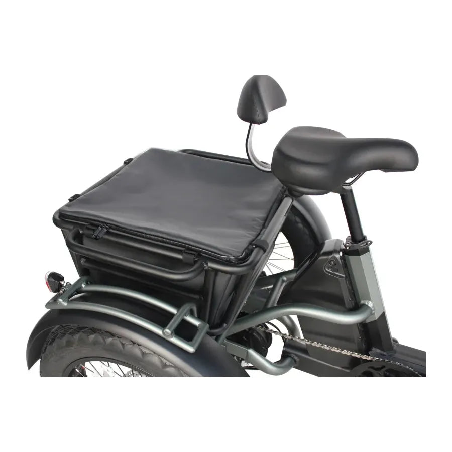 Vamos Papa Grande Pro 2025 Model Electric Trike