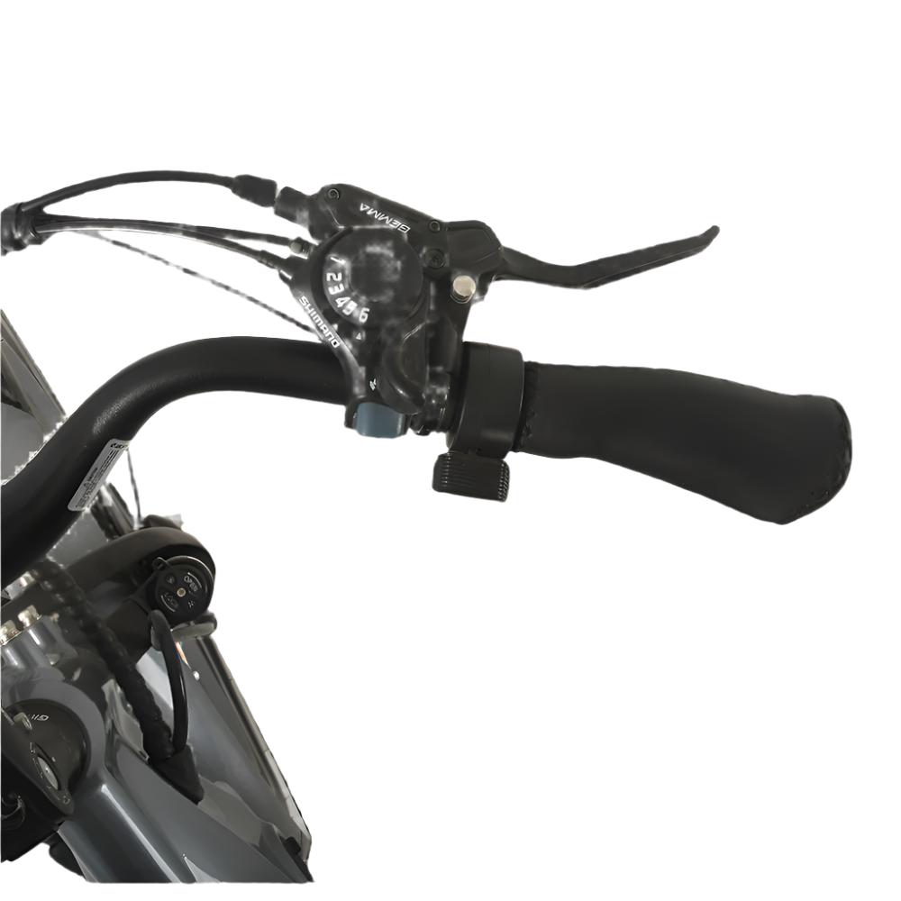 Veloz VOLTZILA Electric Trike Bike 500-750W Motor 150 Km Autonomy 20Ah Samsung Battery 200+ Kilos weight load