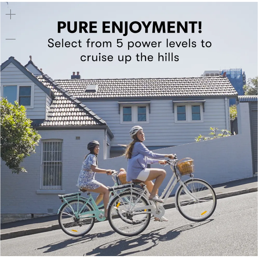 VALK Laneway 5 - Vintage Electric Bike (Ladies Favourite)