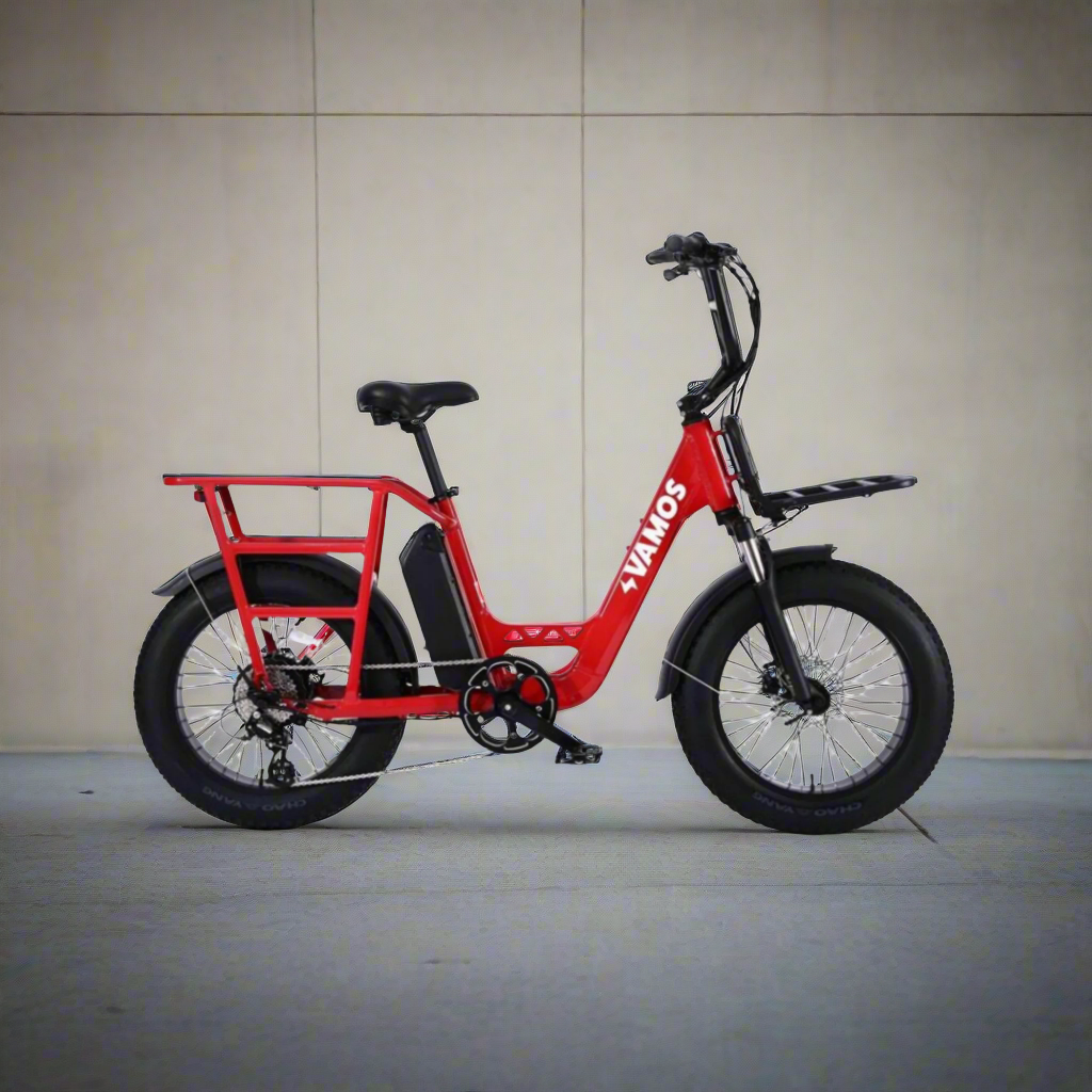 Vamos El Amigo Electric Bike High Quality Components