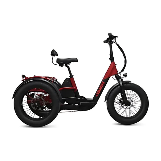 Vamos Papa Grande Pro 2025 Model Electric Trike