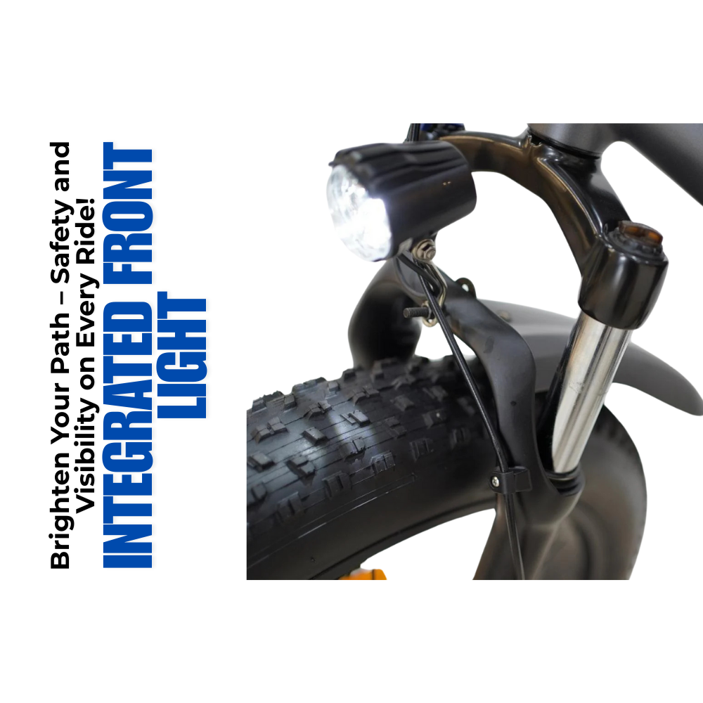 Veloz Grand-Prix Electric Trike Bike 500-750W Motor 120 Km Autonomy 20Ah Samsung Battery 150+ Kilos weight load