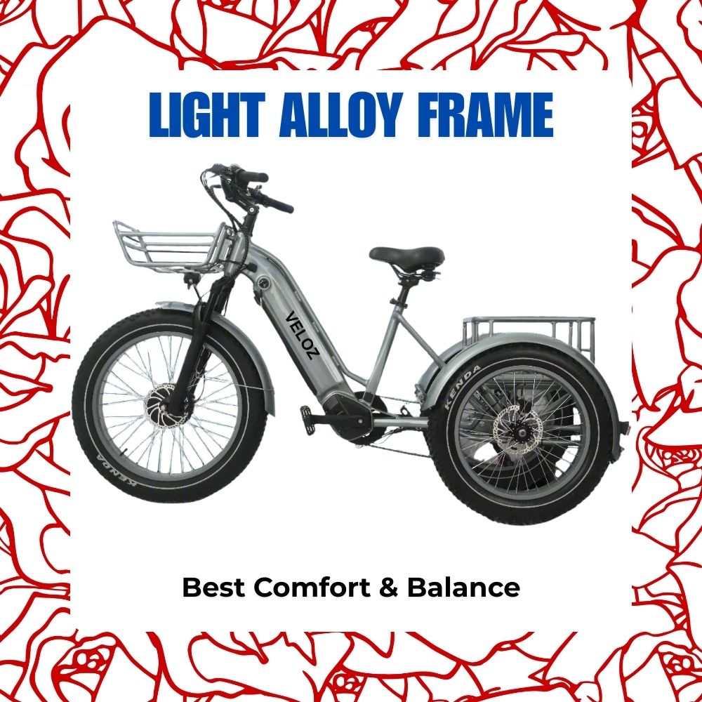 Veloz VOLTZILA Electric Trike Bike 500-750W Motor 150 Km Autonomy 20Ah Samsung Battery 200+ Kilos weight load