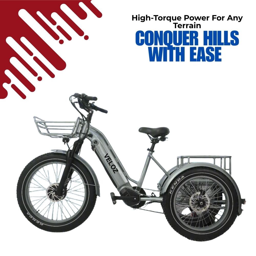Veloz VOLTZILA Electric Trike Bike 500-750W Motor 150 Km Autonomy 20Ah Samsung Battery 200+ Kilos weight load