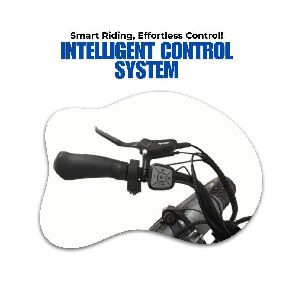 Veloz VOLTZILA Electric Trike Bike 500-750W Motor 150 Km Autonomy 20Ah Samsung Battery 200+ Kilos weight load
