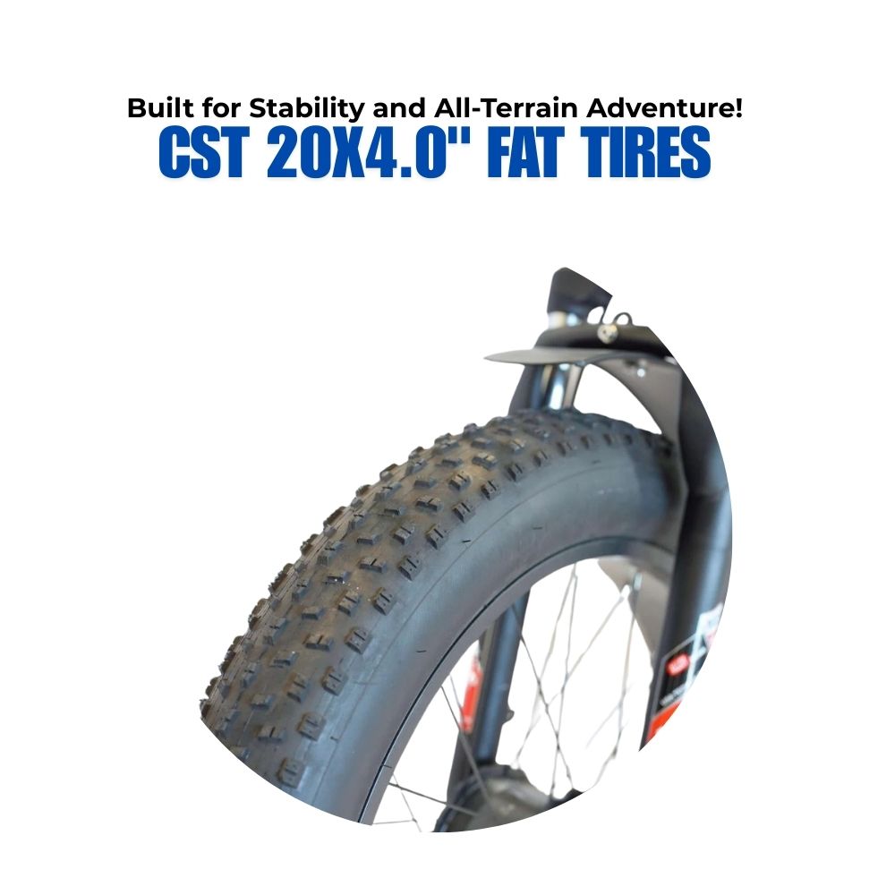 Veloz VOLTZILA Electric Trike Bike 500-750W Motor 150 Km Autonomy 20Ah Samsung Battery 200+ Kilos weight load