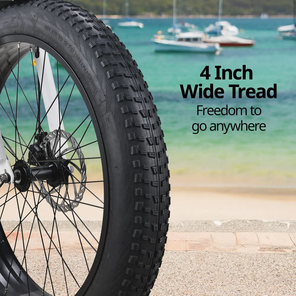 VALK Fat Tyre Cruiser E-Bike