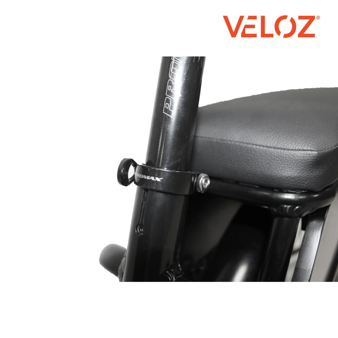 Veloz Electric Cargo Trike - 500W Motor