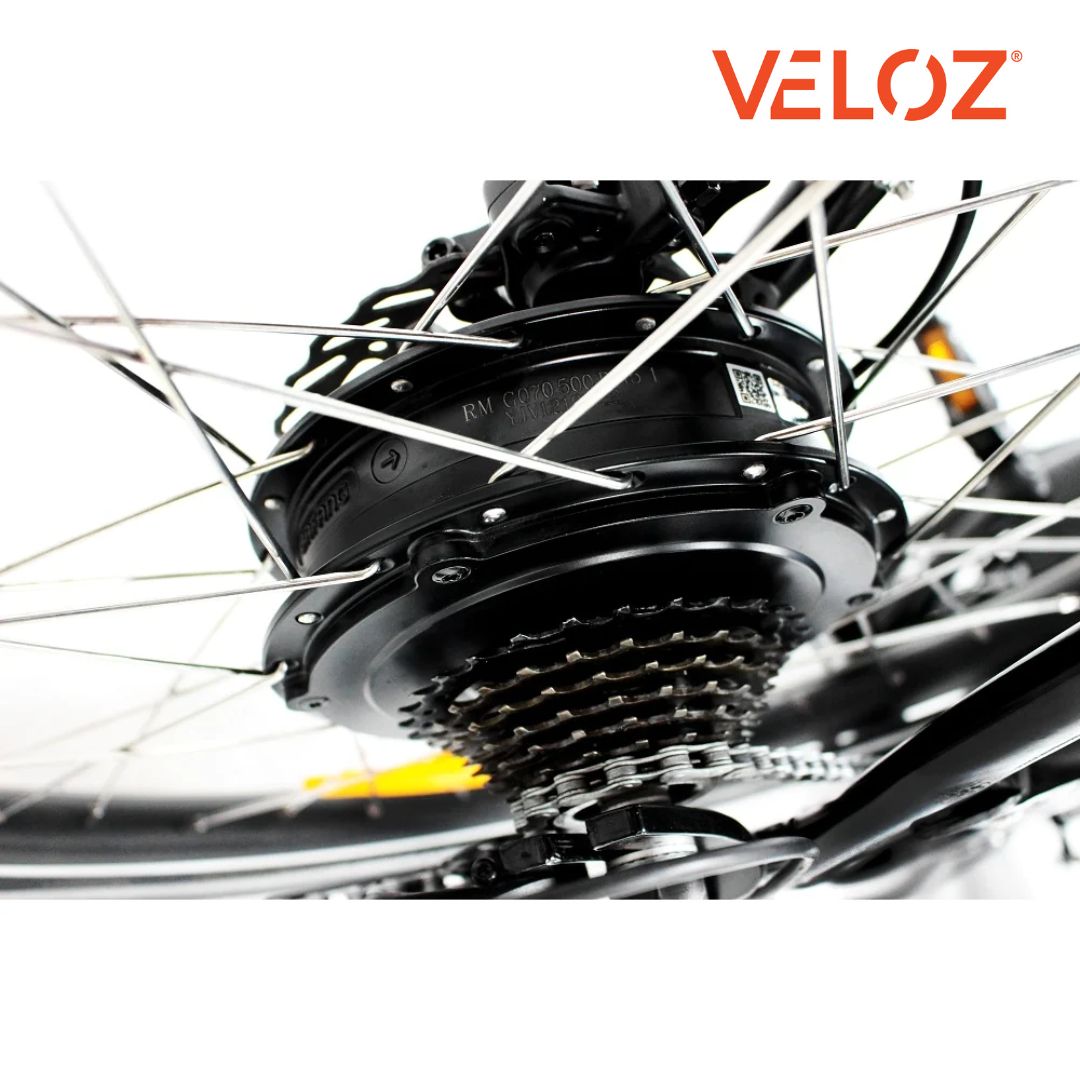 Veloz Electric Cargo Trike - 500W Motor