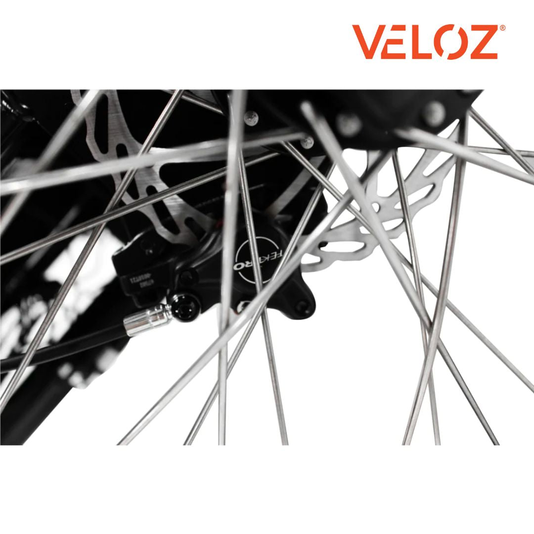Veloz Electric Cargo Trike - 500W Motor
