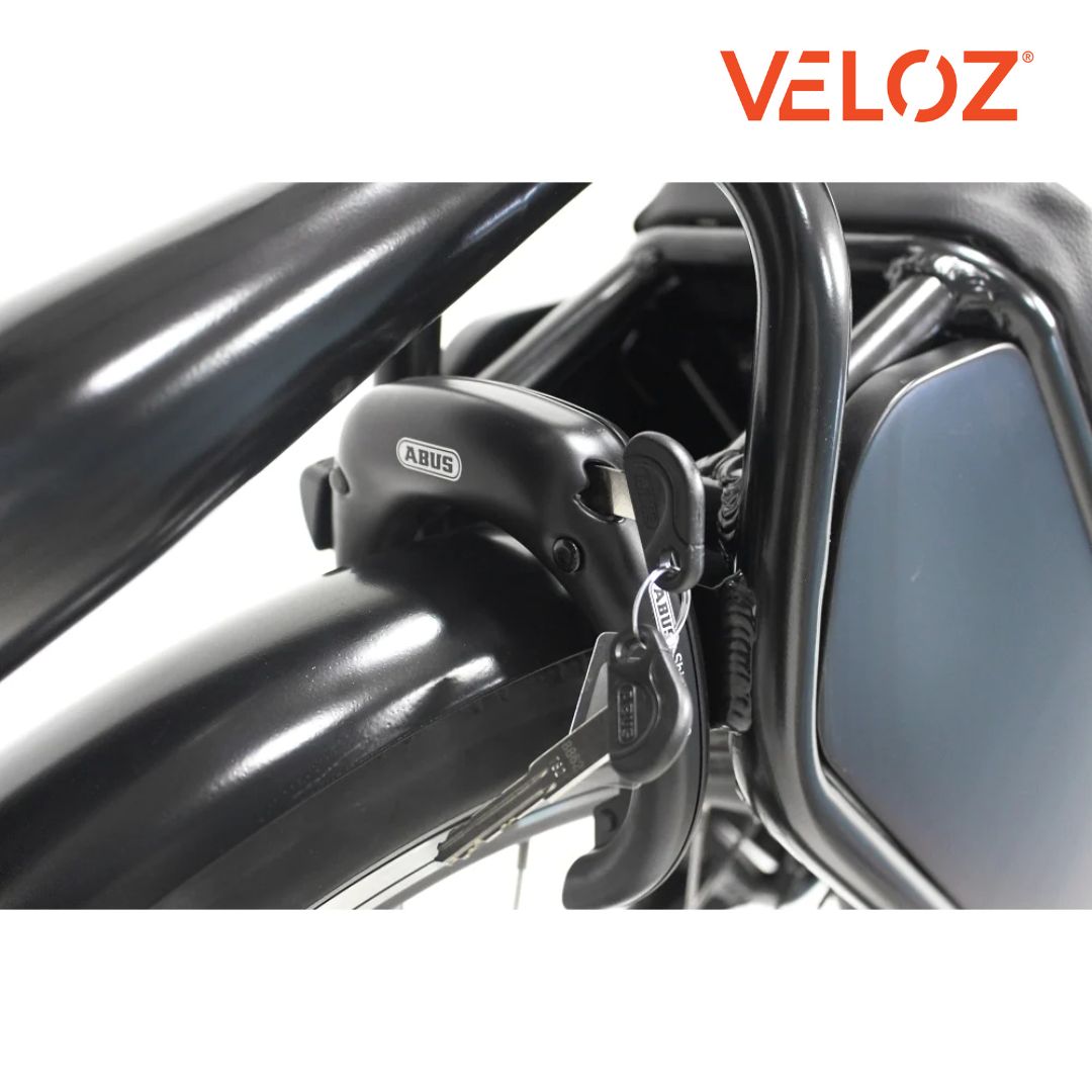 Veloz Electric Cargo Trike - 500W Motor