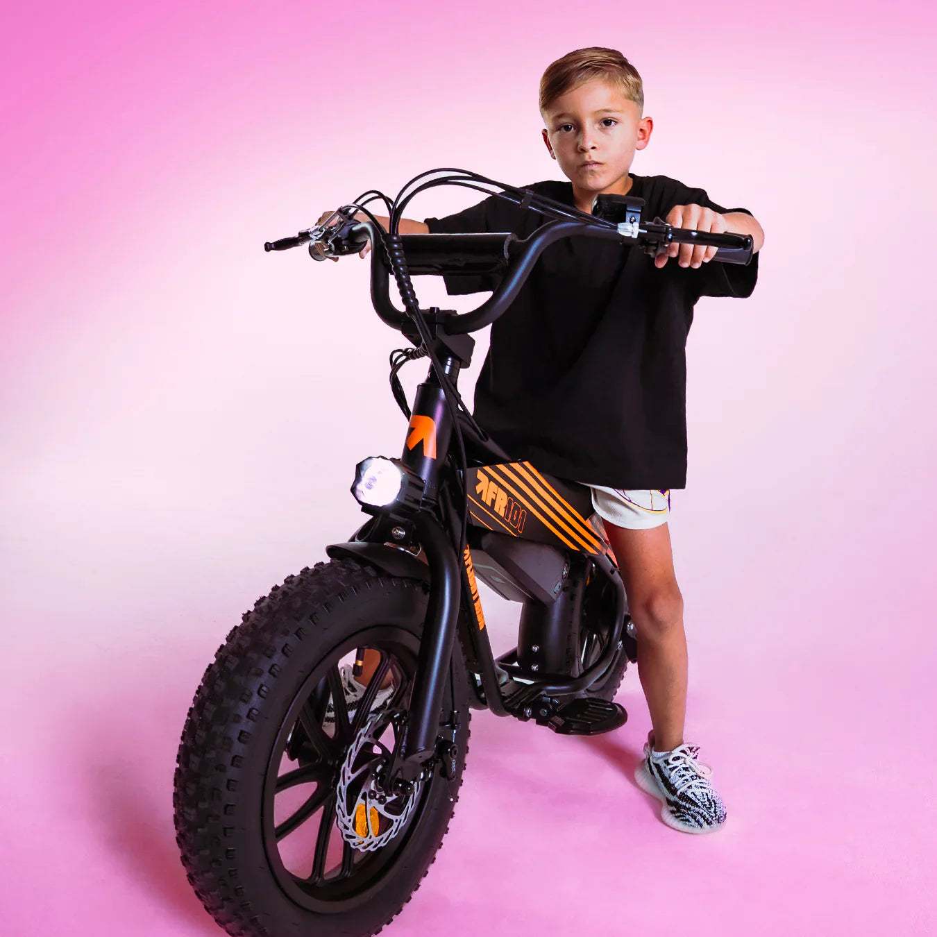 Flight Risk FR101 eBike 6 Months Free Service