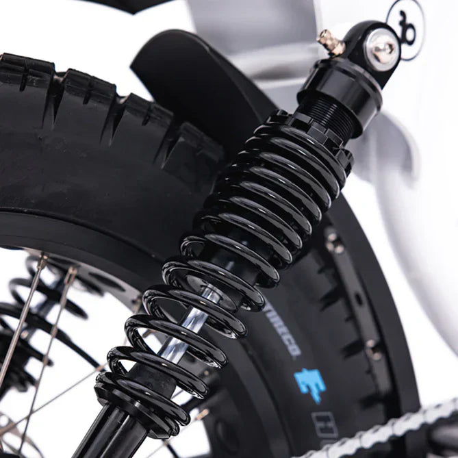 FatBoy Harlem V2 eBike 6 Months Free Service