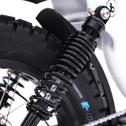 FatBoy Harlem V2 eBike 6 Months Free Service