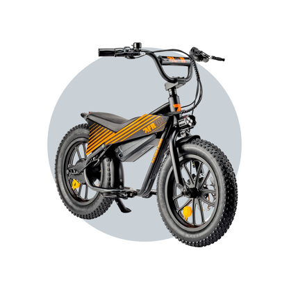 Flight Risk FR101 eBike 6 Months Free Service