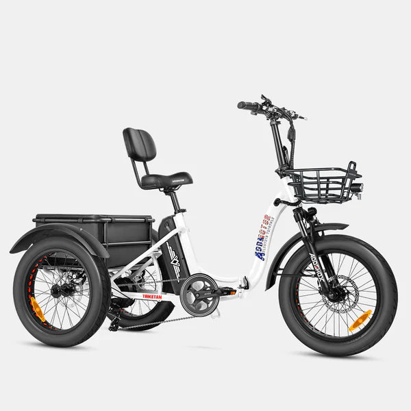 Addmotor Triketan M-330F Folding Electric Trike 6 Months Free Service