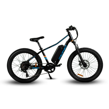 eMono JUNO Compact Fat Cruiser EMTB 6 Months Free Service