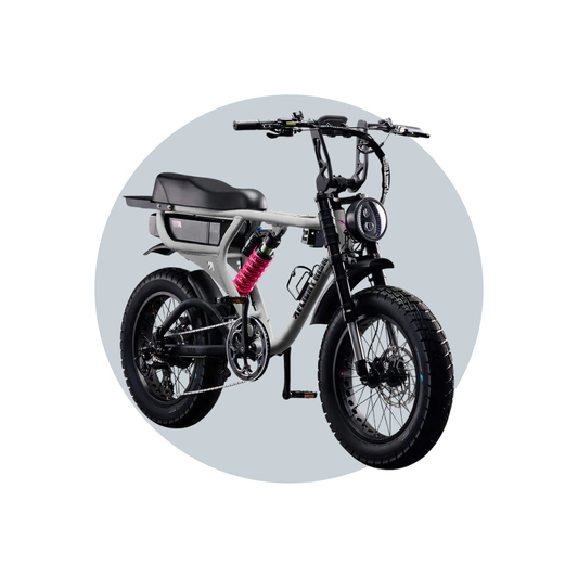 Flight Risk FR555 eBike  6 Months Free Service - Silver