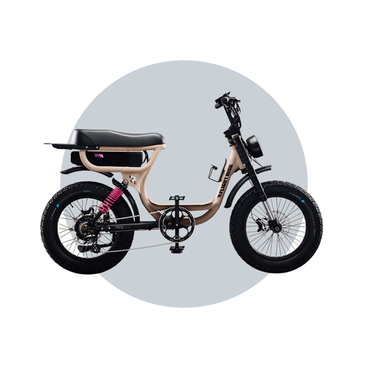 Flight Risk FR333 eBike  6 Months Free Service - Champagne