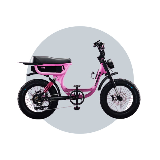 Flight Risk FR333 eBike  6 Months Free Service - PINK