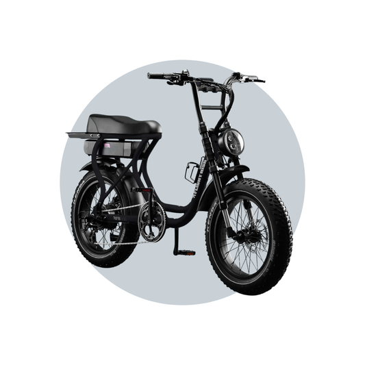 Flight Risk FR303 eBike 6 Months Free Service - Black