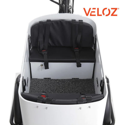 Veloz Electric Cargo Trike - 350W with 200Kg Load Capacity