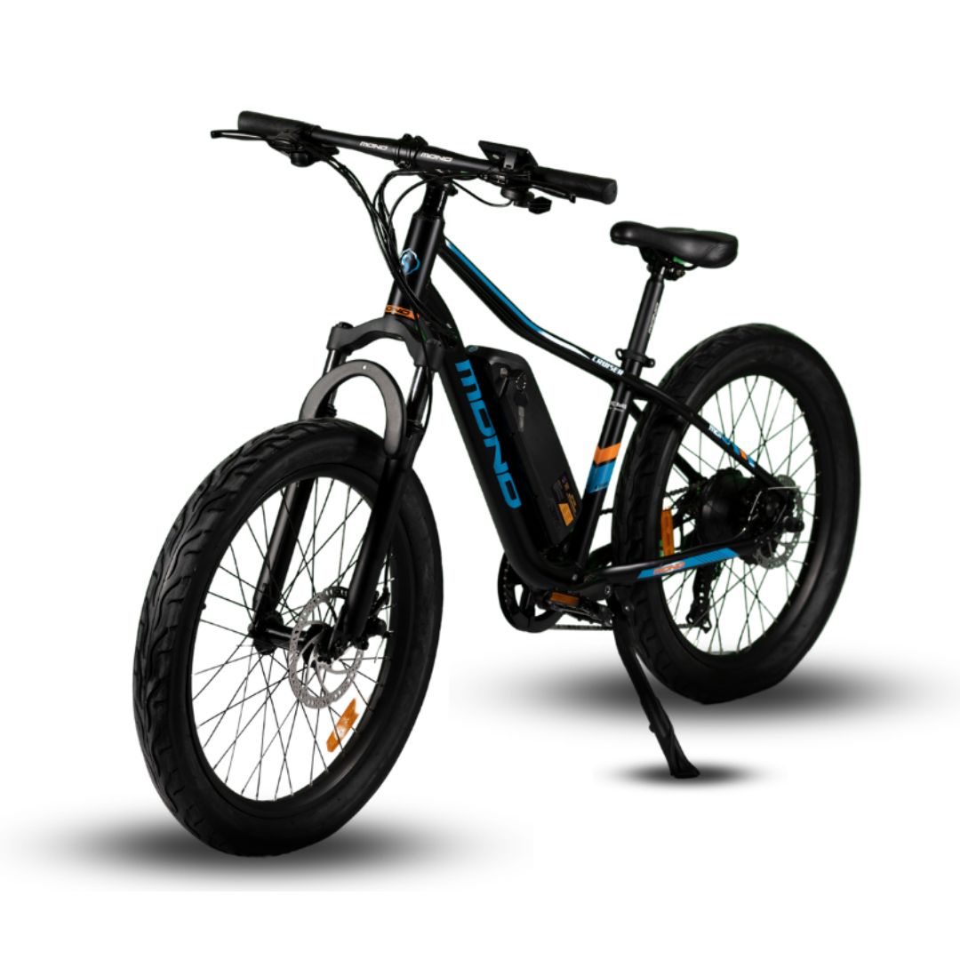 eMono JUNO Compact Fat Cruiser EMTB 6 Months Free Service