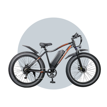 Thunder eBike Fat Wheel 48v14.5Ah 6 Months Free Service