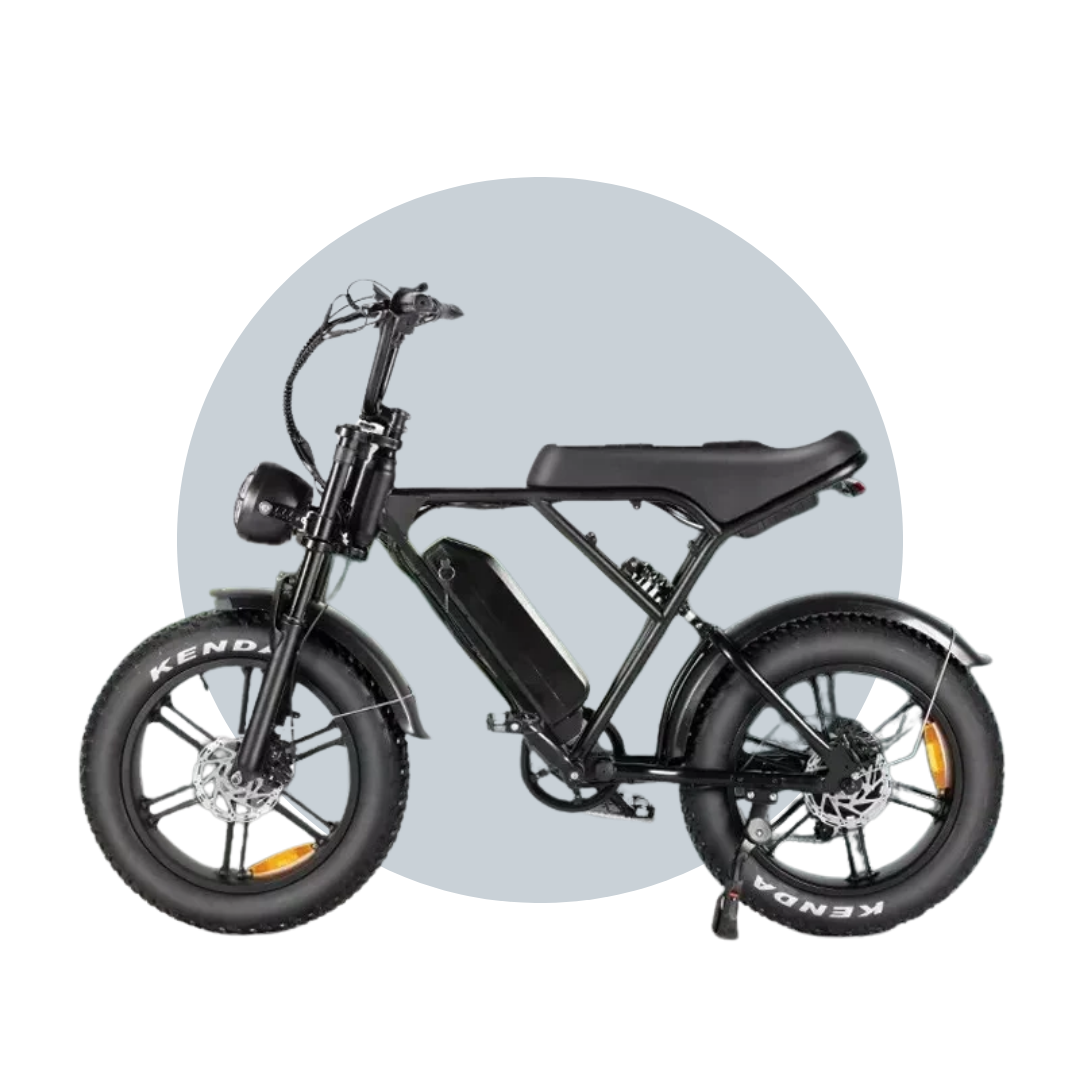 Falcon eBike Hydraulic Brake 48V 15Ah Battery 6 Months Free Service