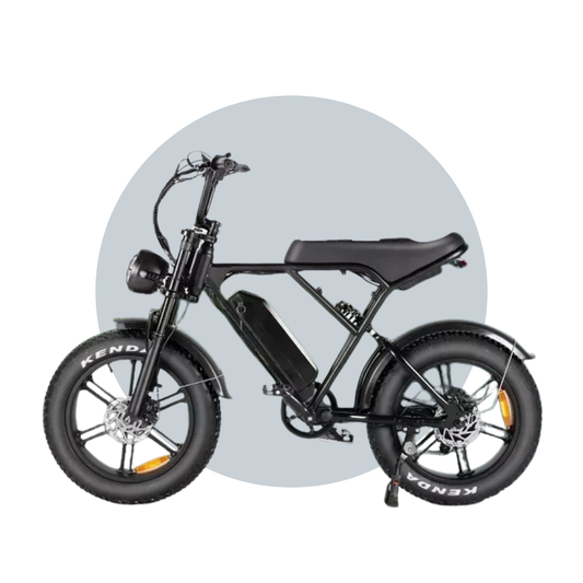 Falcon eBike Hydraulic Brake 48V 15Ah Battery 6 Months Free Service