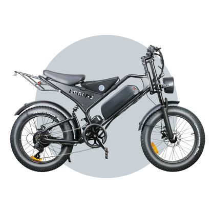 Titan ebike 15Ah eBike 48V 6 Months Free Service