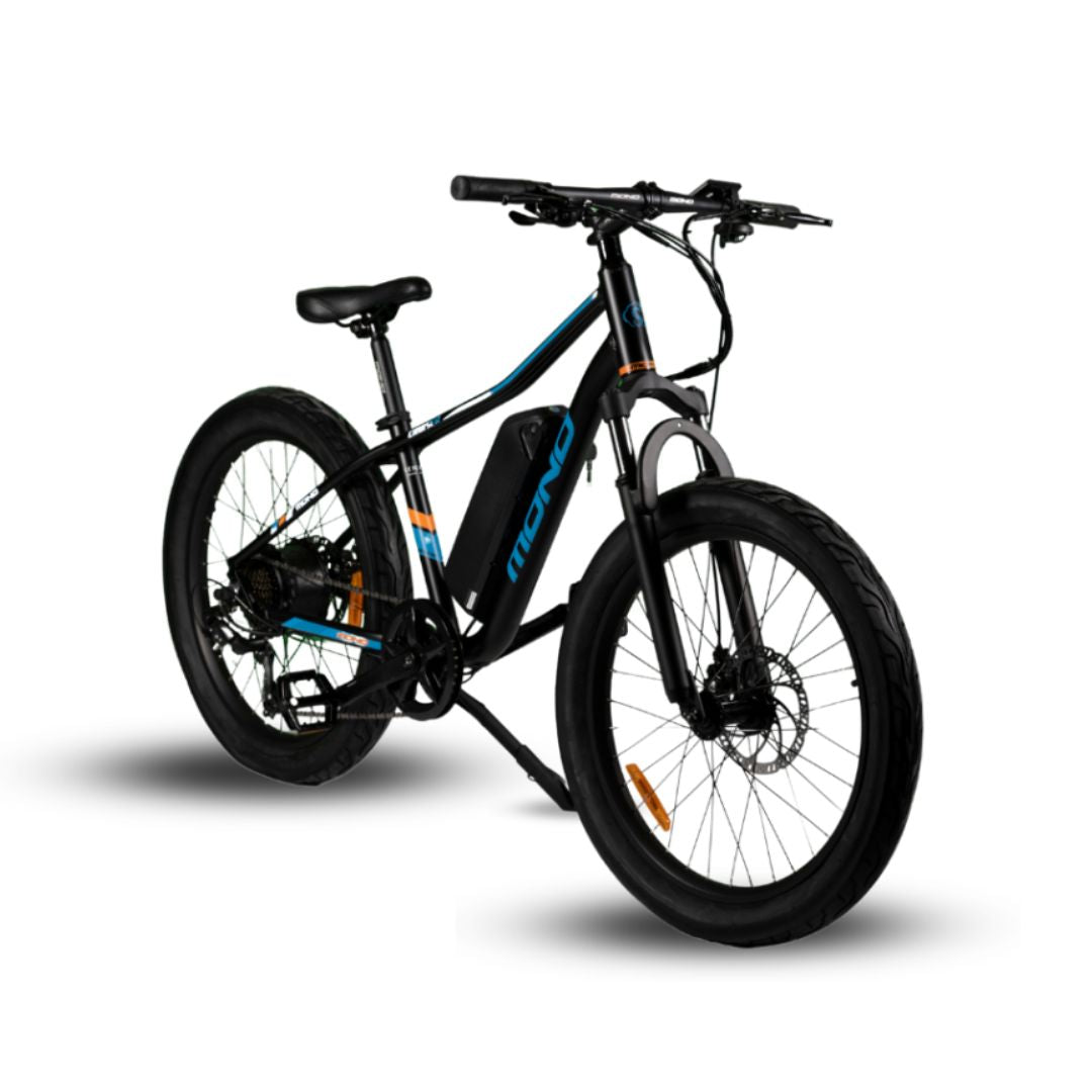 eMono JUNO Compact Fat Cruiser EMTB 6 Months Free Service